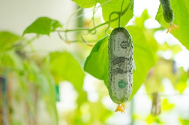 20代会社員が実際に行っている投資法全部公開します